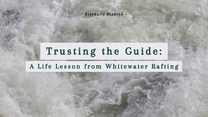 Trust the Guide: A Life Lesson from Whitewater Rafting