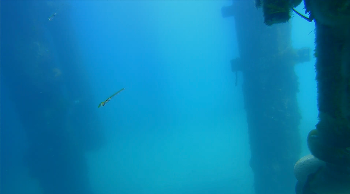 March 18, 2026 / Grade: B-