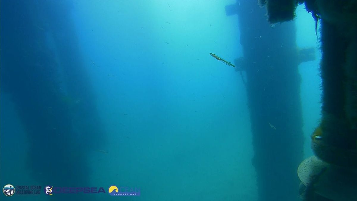 March 20, 2026 / Grade: C