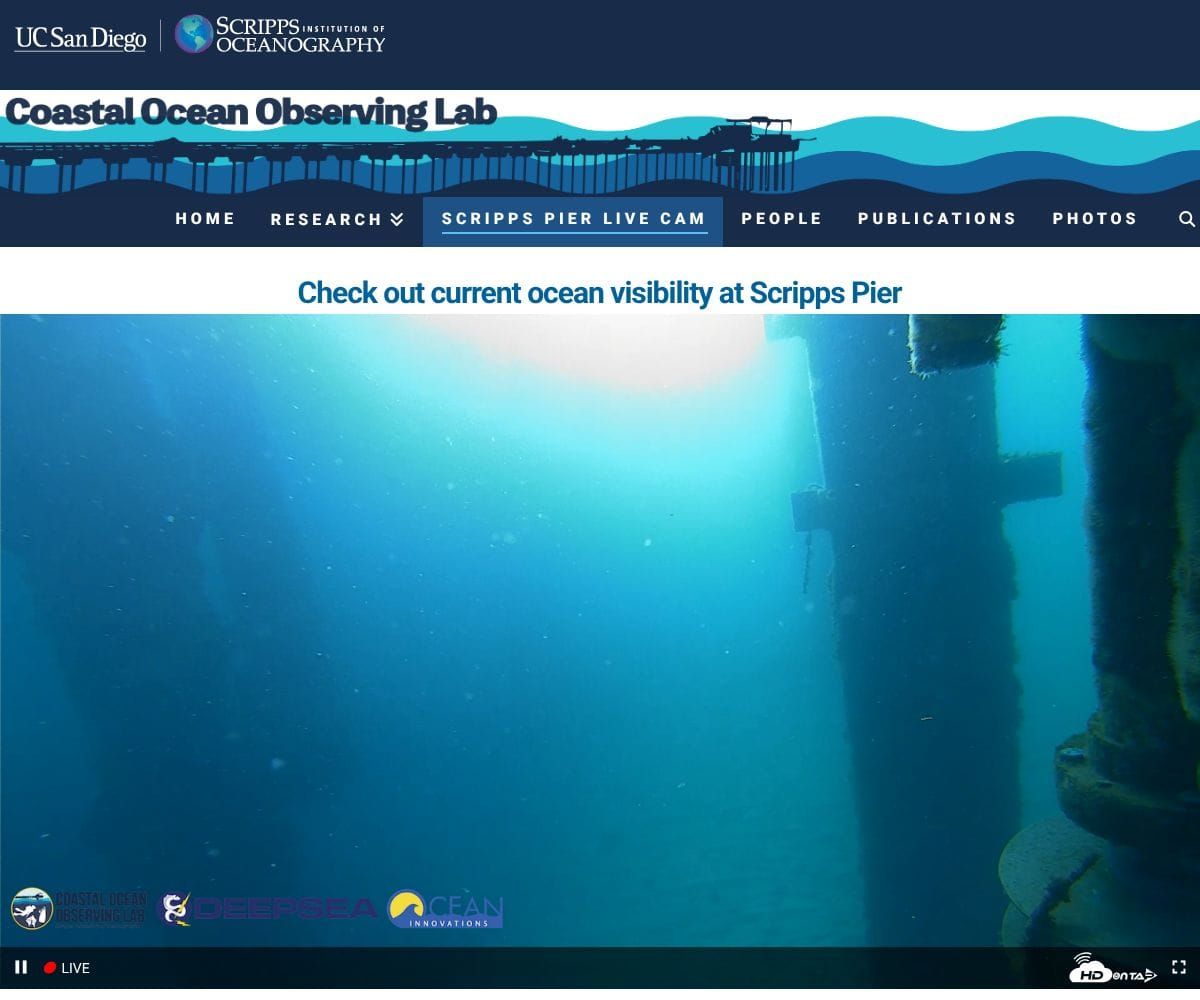 March 12, 2026 / Grade: C