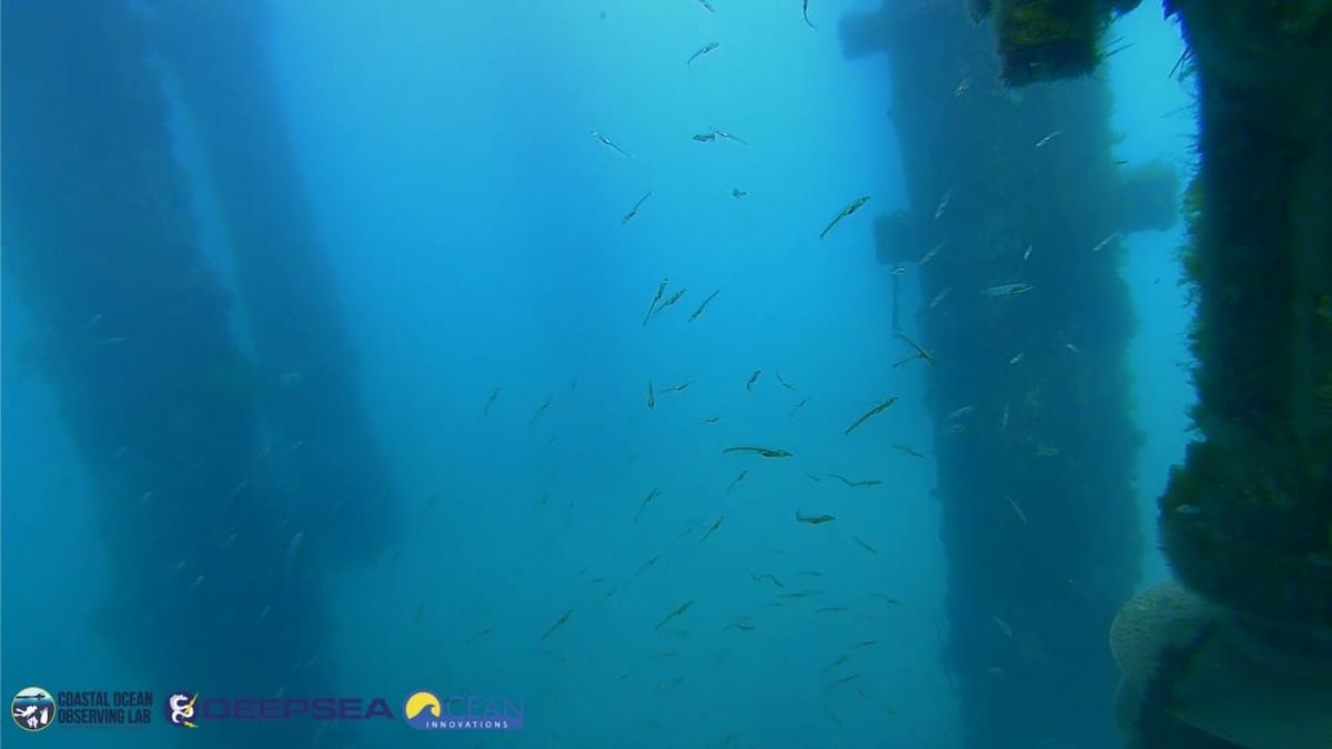 March 21, 2026 / Grade: C