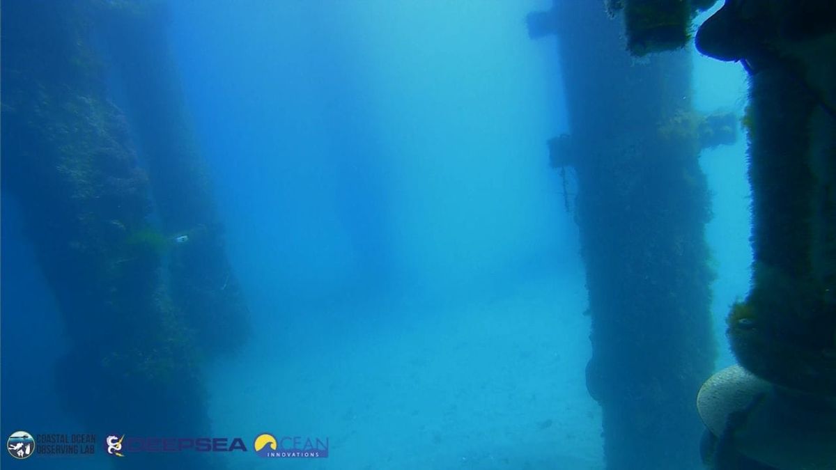 March 22, 2026 / Grade: C+