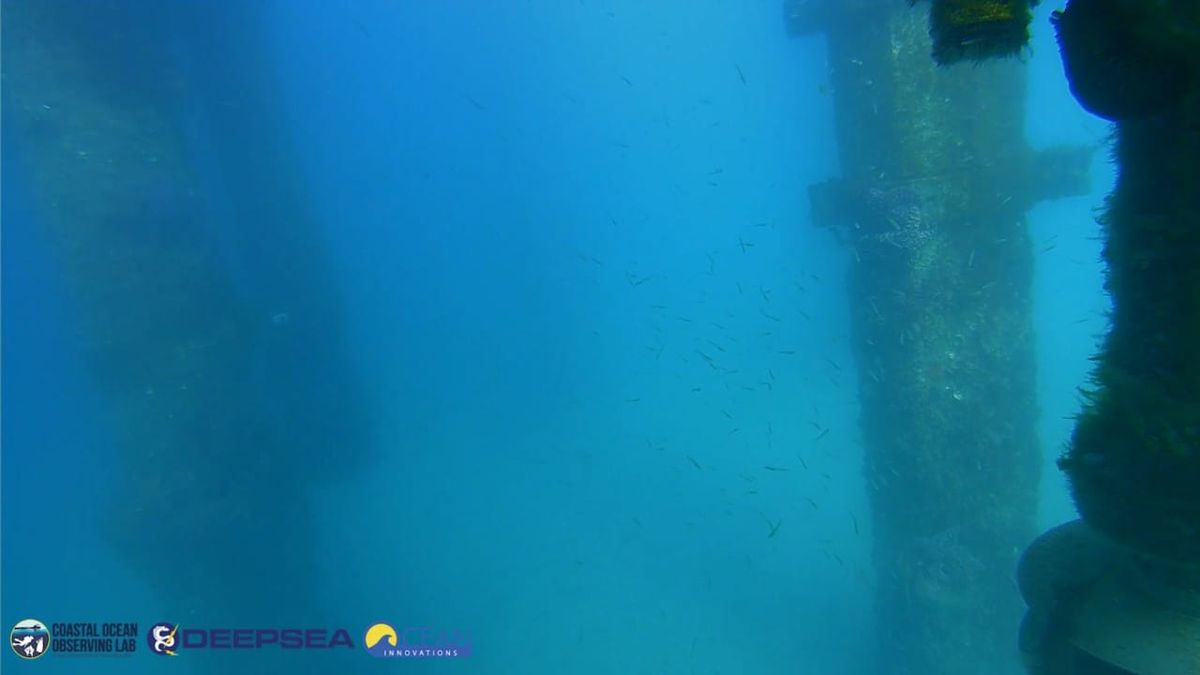 March 23, 2026 / Grade: C