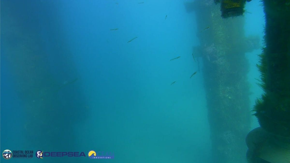 March 24, 2026 / Grade: C