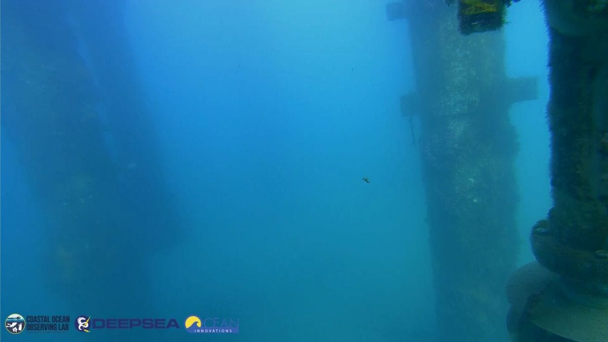 March 16, 2026 / Grade: C+