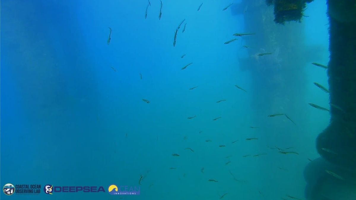 March 28, 2026 / Grade: C