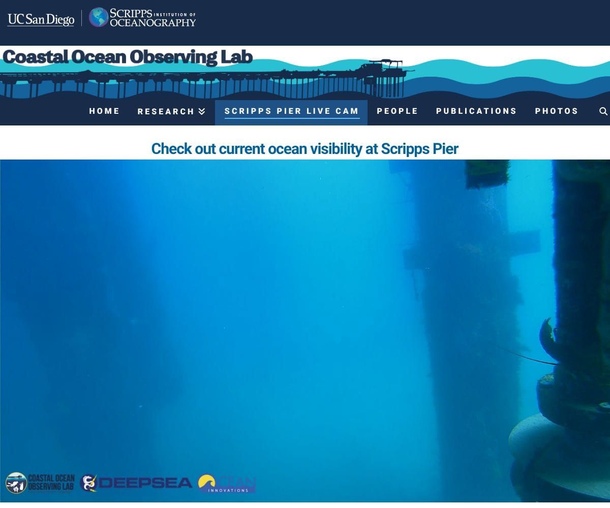 March 10, 2026 / Grade: B