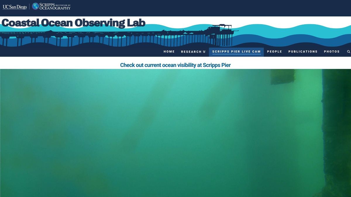 March 6, 2026 / Grade: D