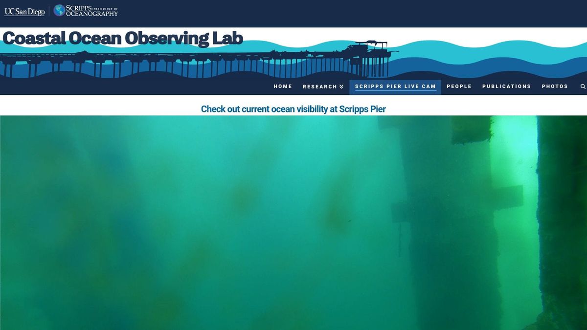 March 7, 2026 / Grade: C