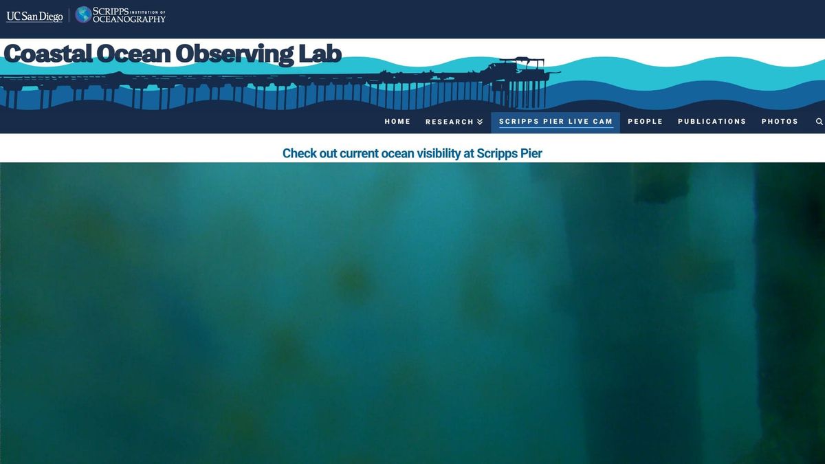 March 8, 2026 / Grade: D