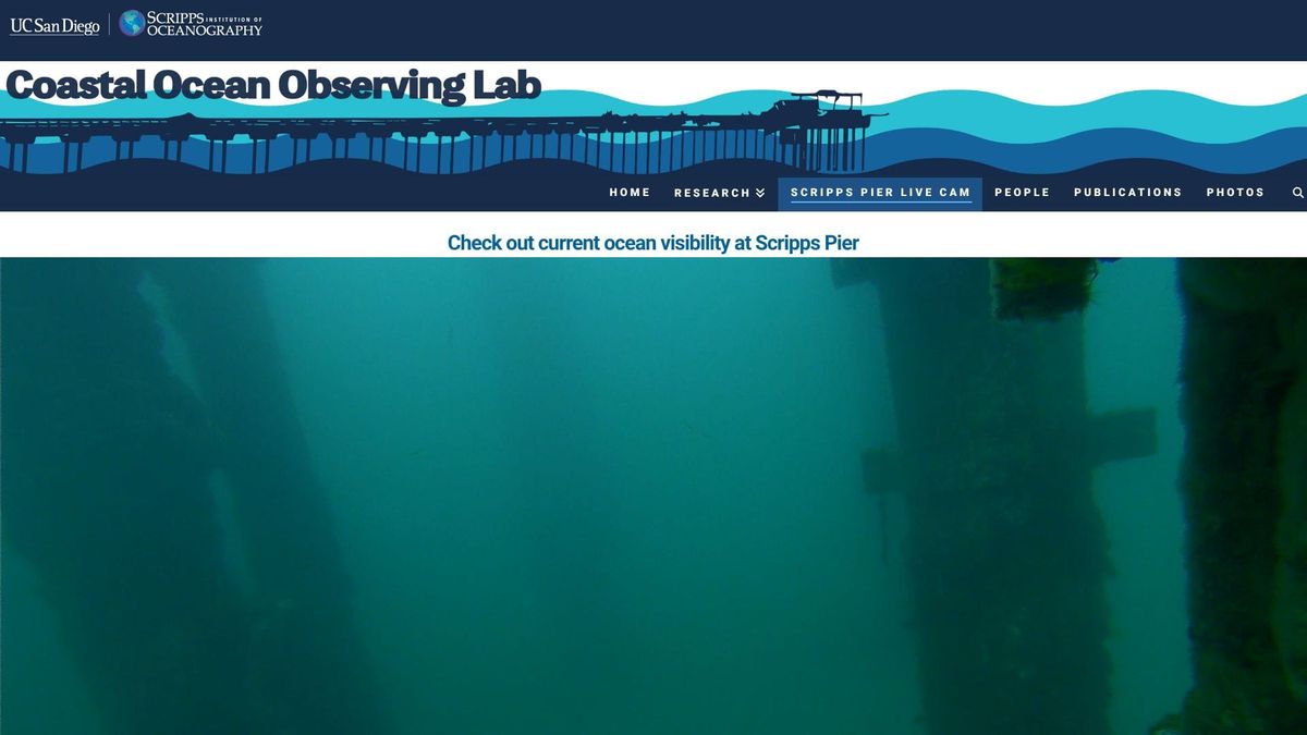 March 13, 2026 / Grade: C+