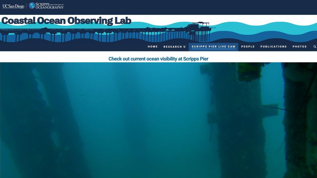 March 14, 2026 / Grade: B