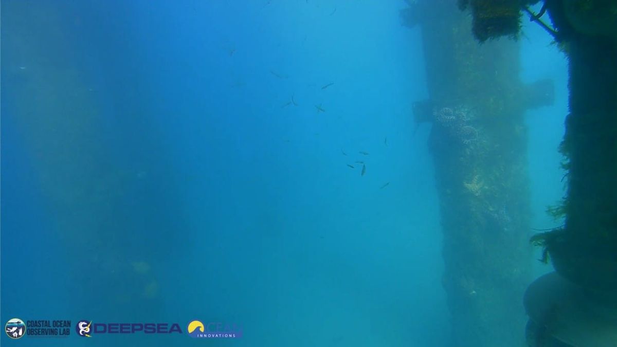 April 4, 2026 / Grade: C