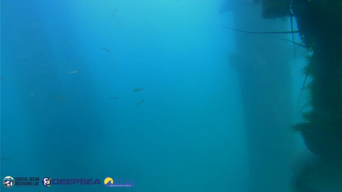 April 5, 2026 / Grade: C