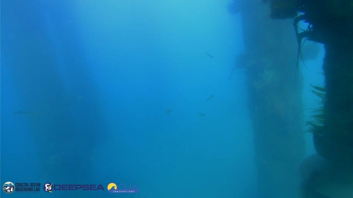 April 6, 2026 / Grade: C