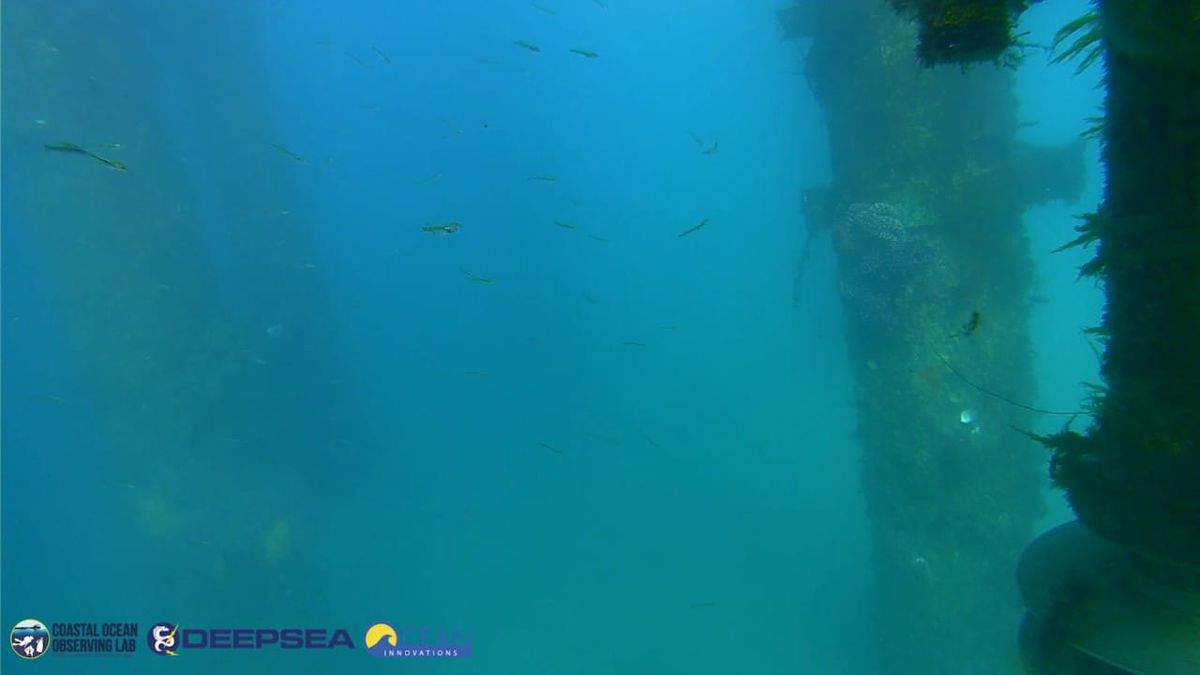 April 8, 2026 / Grade: C