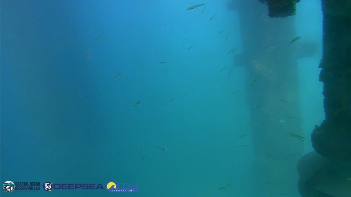 April 13, 2026 / Grade: C