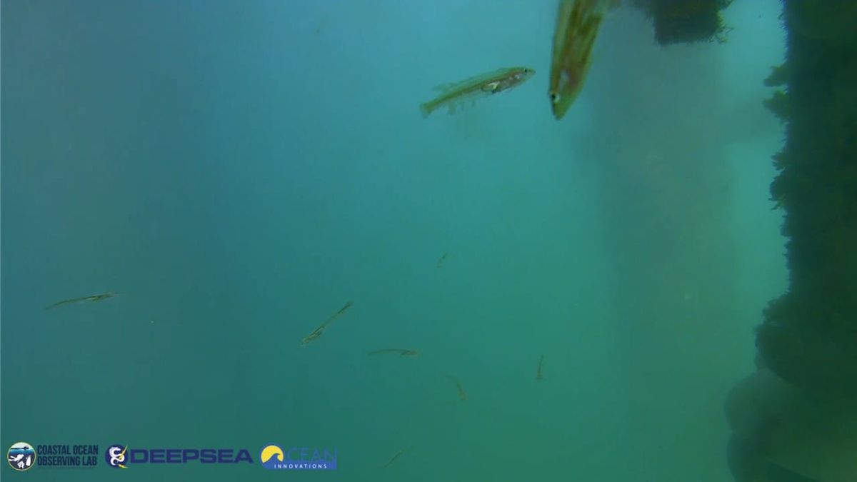 April 14, 2026 / Grade: C