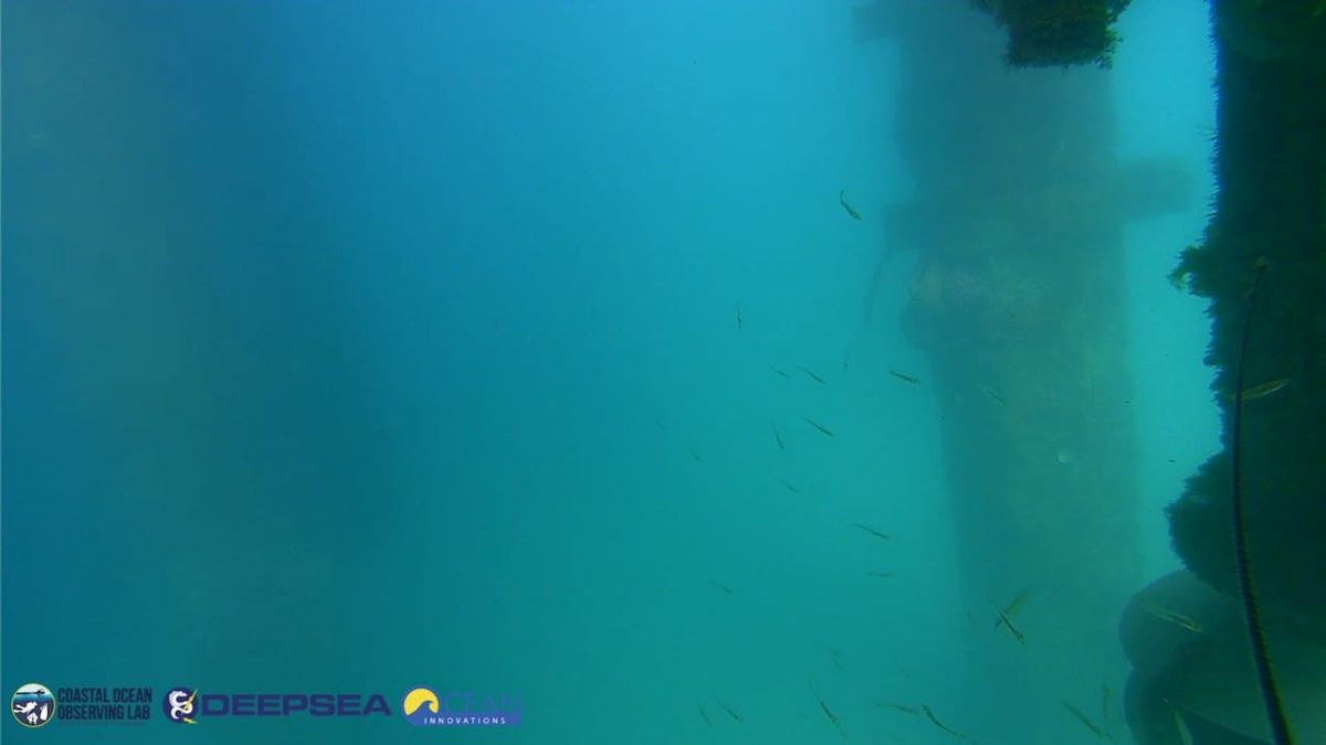 April 16, 2026 / Grade: C