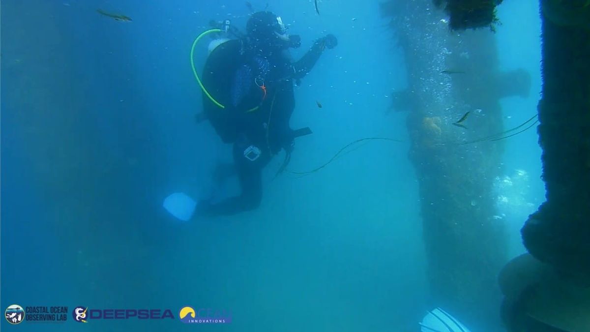 April 17, 2026 / Grade: C