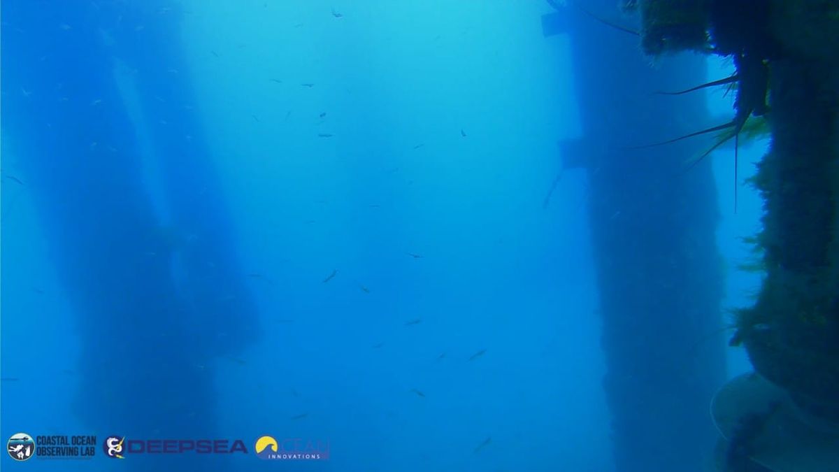 March 31, 2026 / Grade: B