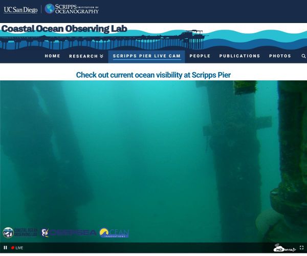 March 11, 2026 / Grade: B-