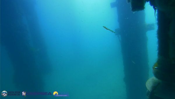 March 20, 2026 / Grade: C