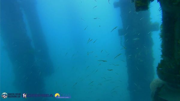 March 21, 2026 / Grade: C