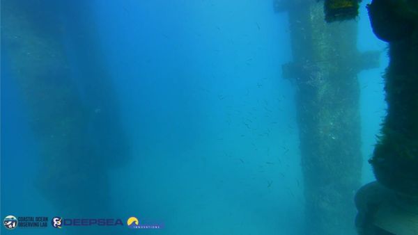 March 23, 2026 / Grade: C