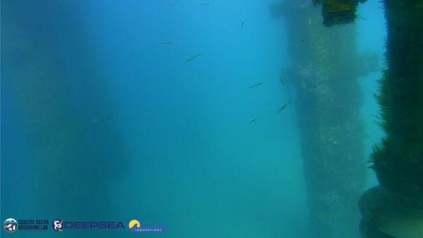 March 24, 2026 / Grade: C