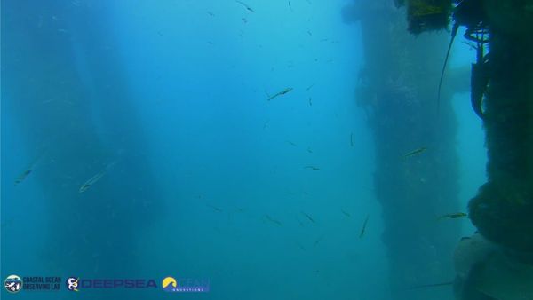 March 25, 2026 / Grade: C