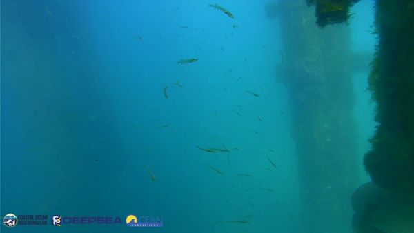 March 26, 2026 / Grade: C