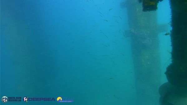 March 27, 2026 / Grade: C