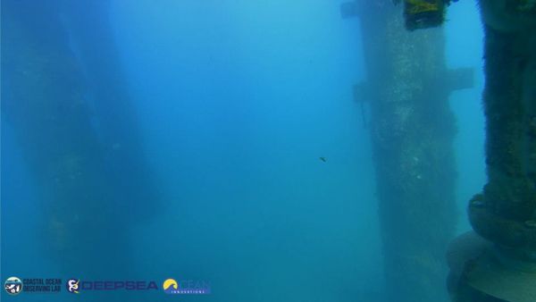 March 16, 2026 / Grade: C+