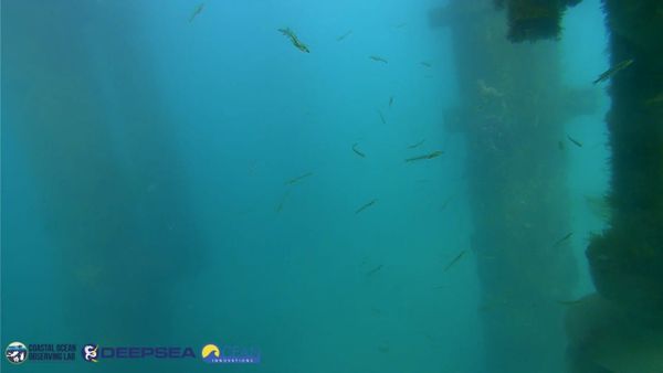 March 30, 2026 / Grade: C