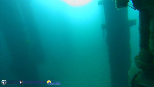 March 17, 2026 / Grade: B-