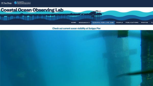 March 04, 2026 / Grade: C