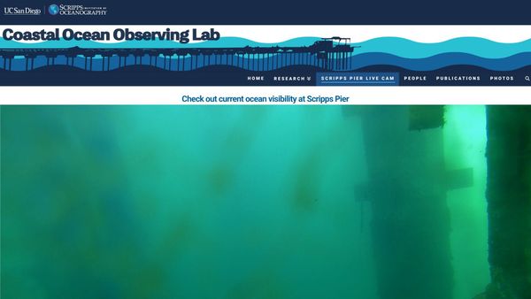 March 7, 2026 / Grade: C