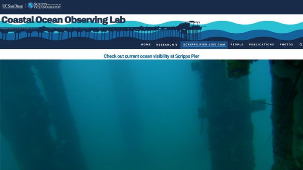 March 14, 2026 / Grade: B