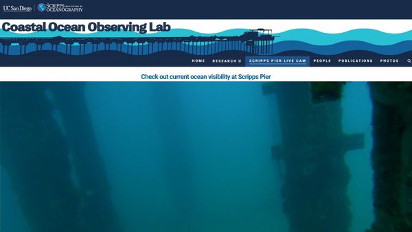 March 15, 2026 / Grade: B