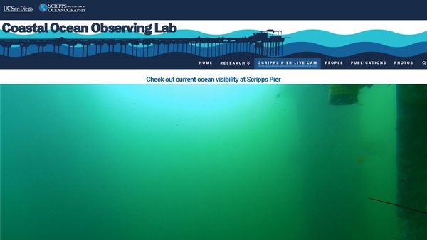 Scuba diving conditions at Scripps Pier March 2 2026 poor visibility D+ grade