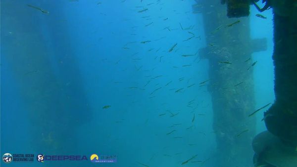 April 3, 2026 / Grade: C