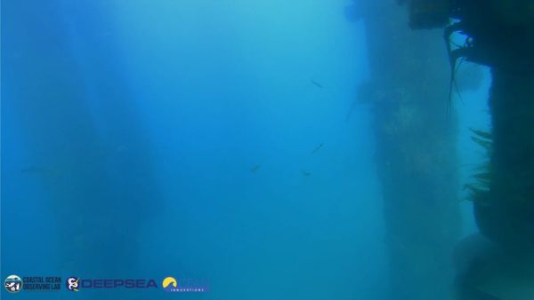 April 6, 2026 / Grade: C