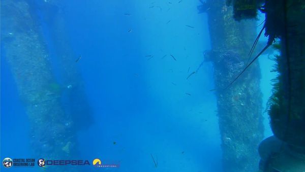 April 1, 2026 / Grade: B