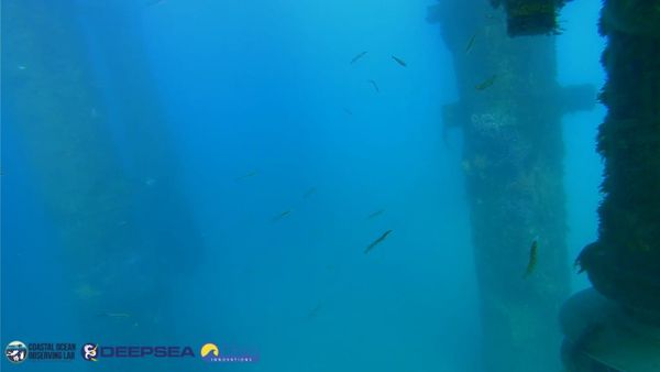 April 7, 2026 / Grade: C