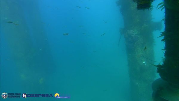 April 8, 2026 / Grade: C