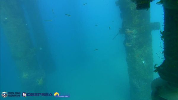 April 9, 2026 / Grade: C