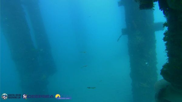 April 10, 2026 / Grade: C