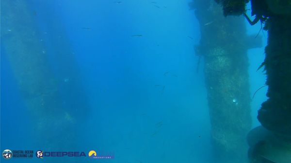 April 11, 2026 / Grade: C