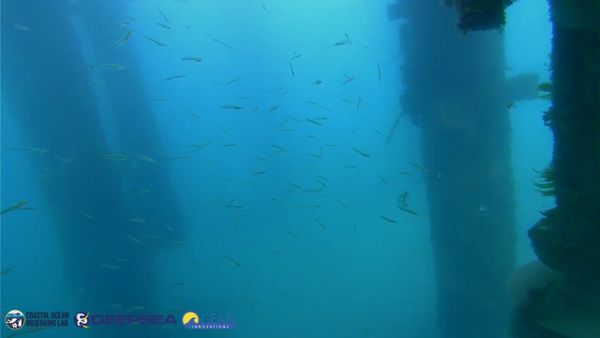 April 12, 2026 / Grade: C